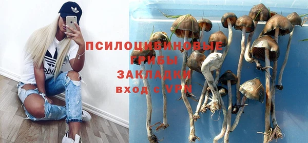 винт Магадан