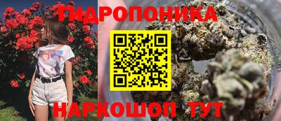 сатива Протвино