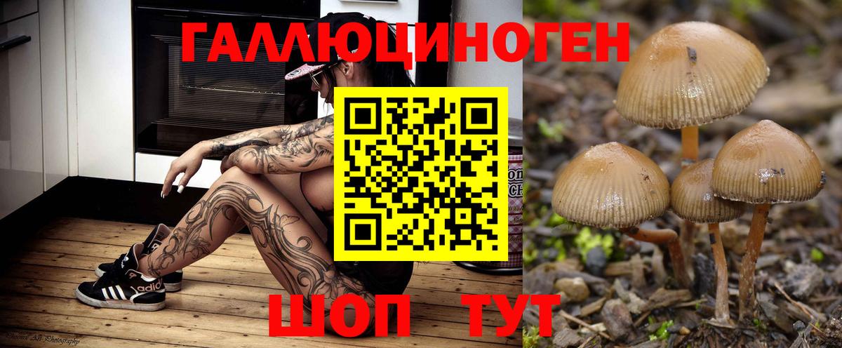 Псилоцибиновые грибы мухоморы  Псилоцибиновые грибы Psilocybe  Вход с VPN  Морозовск 