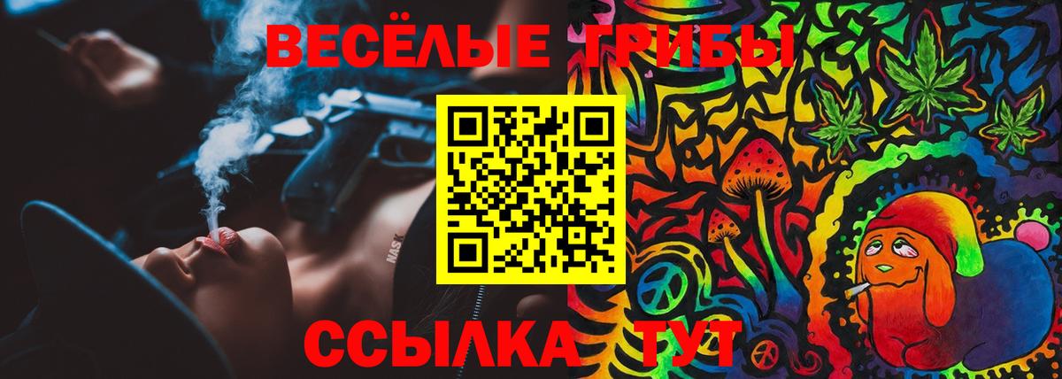 Псилоцибиновые грибы Psilocybe Морозовск